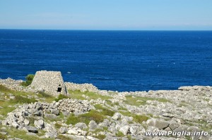 mare-puglia-adriatico